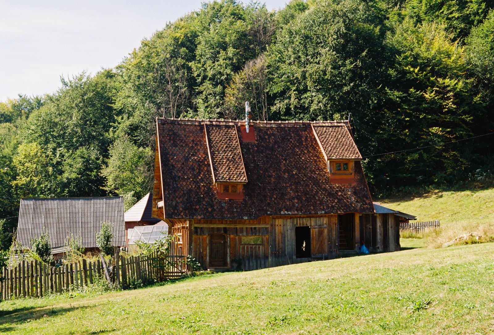 Image 6